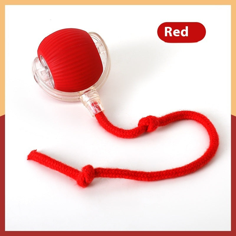 Keep Cats Active with Smart Rolling Ball Toy.