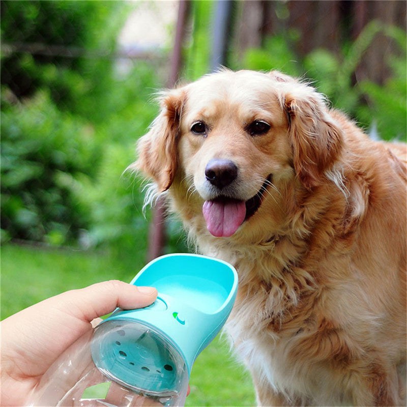 Keep Your Pet Hydrated Anywhere, Anytime