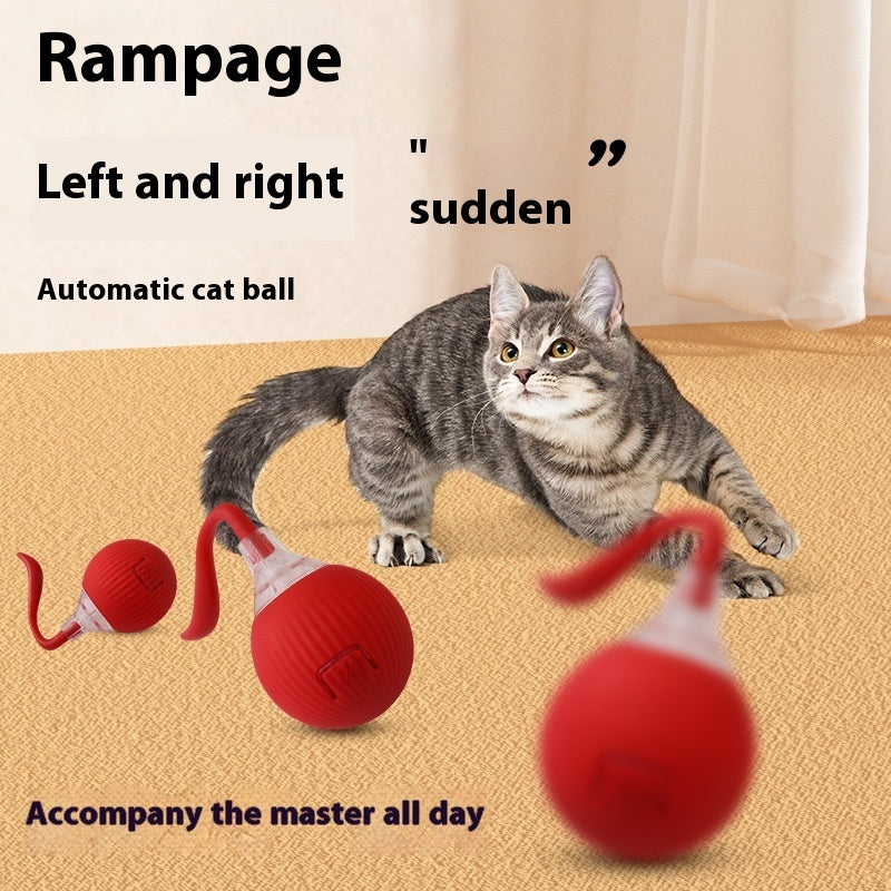 Keep Cats Active with Smart Rolling Ball Toy.