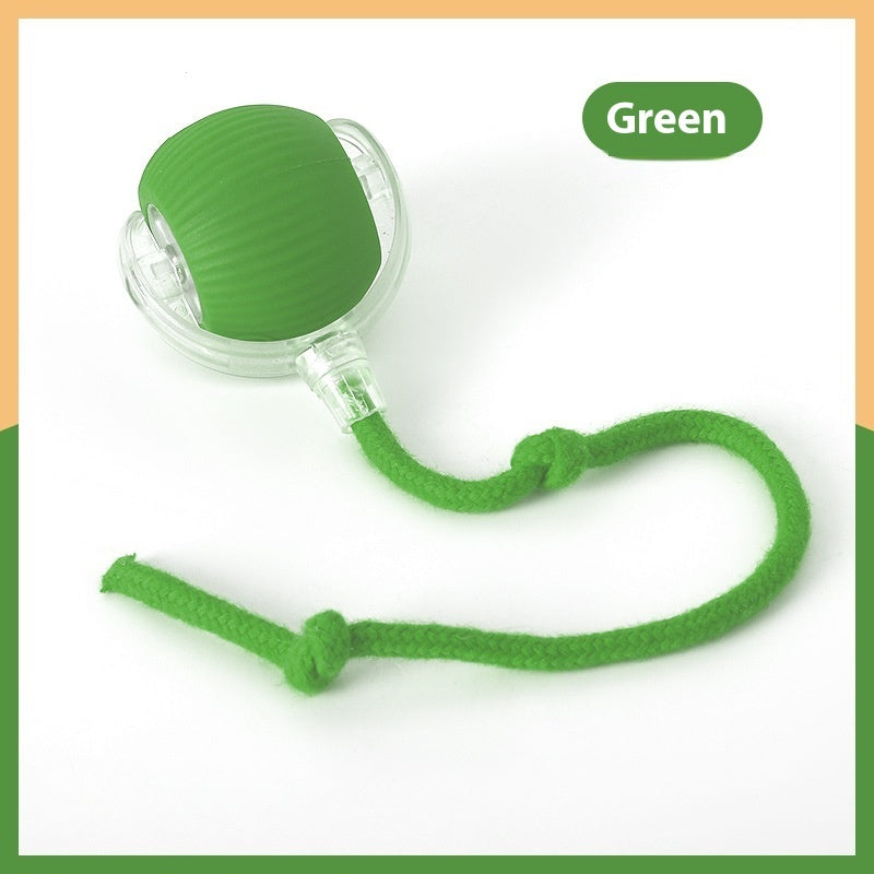 Keep Cats Active with Smart Rolling Ball Toy.