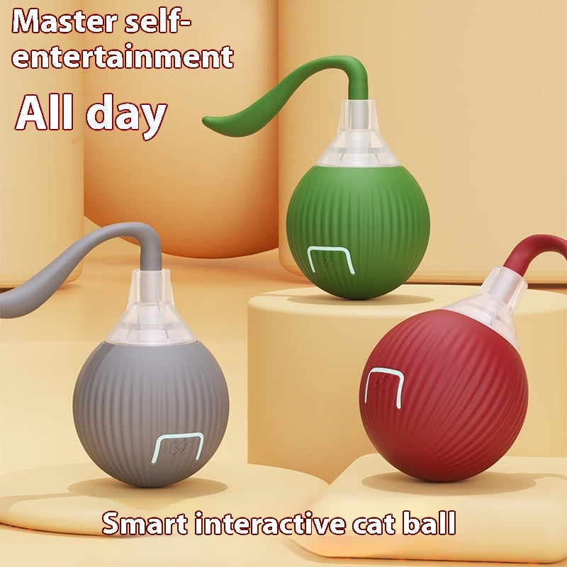 Keep Cats Active with Smart Rolling Ball Toy.