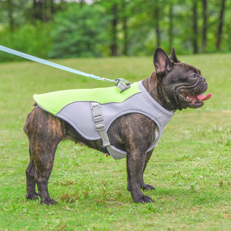 Sun-Proof Cooling Clothes for Small and Large Dogs
