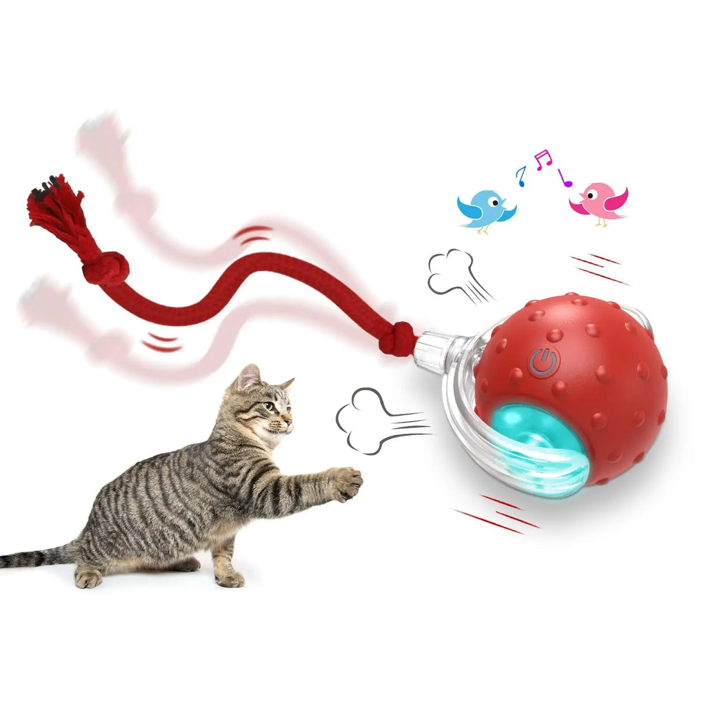 Keep Cats Active with Smart Rolling Ball Toy.